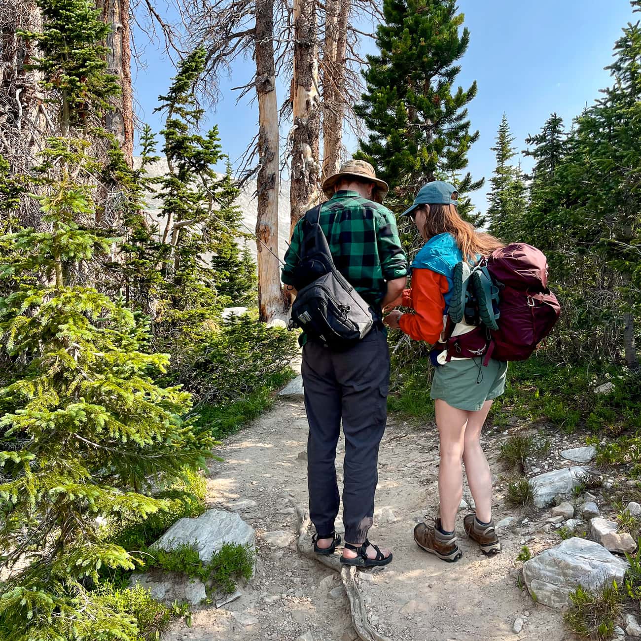 Two backpackers with loaded packs pausing on a forested trail, checking something together before continuing on.