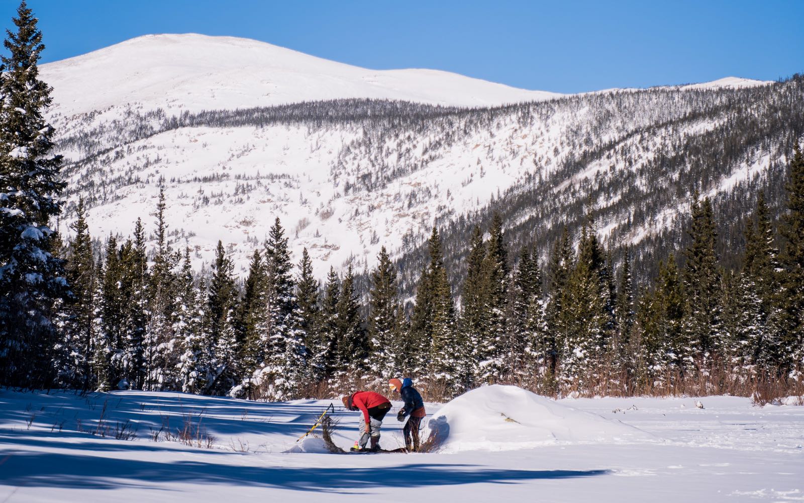 Two hikers crouched in deep snow near a stand of pines, working with trekking poles and gear below a snow-covered mountain.