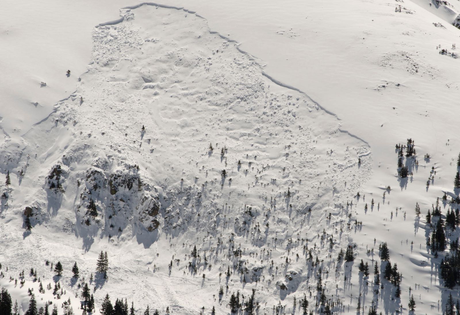 An aerial view of a large avalanche crown and debris field spread across a snowy mountainside dotted with trees.