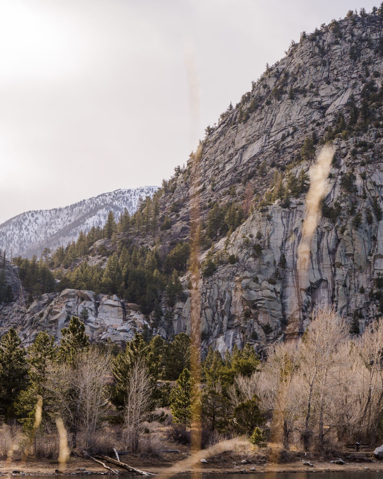A sunlit granite cliff face rising above a pine forest, with a snow-dusted peak visible in the distance.