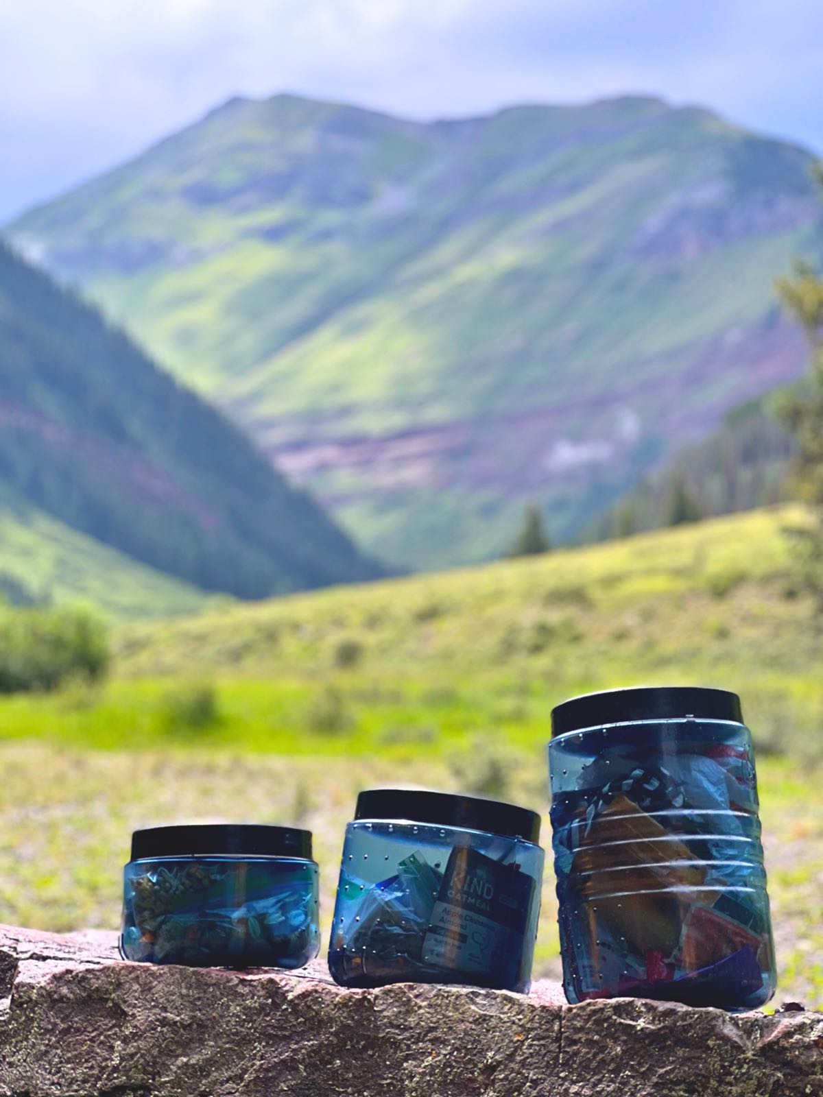 Three bear-resistant food canisters of different sizes lined up on a rock, packed with food and trash, with a green mountain valley behind them.