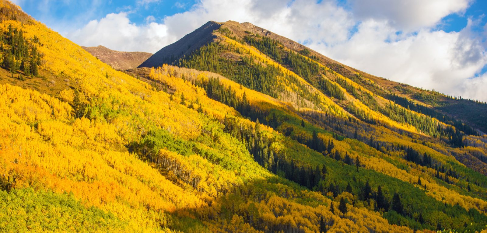 A mountainside blanketed in golden aspen groves and dark green conifers, rising to a rocky summit under a partly cloudy sky.