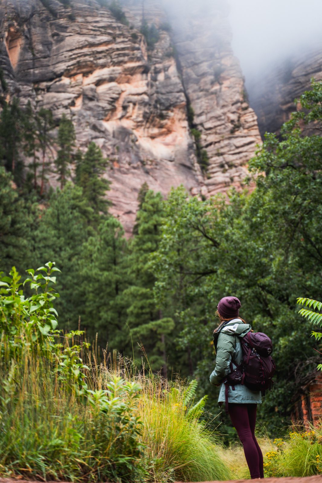 A hiker with a burgundy backpack looks up at a foggy sandstone canyon wall lined with pine trees.