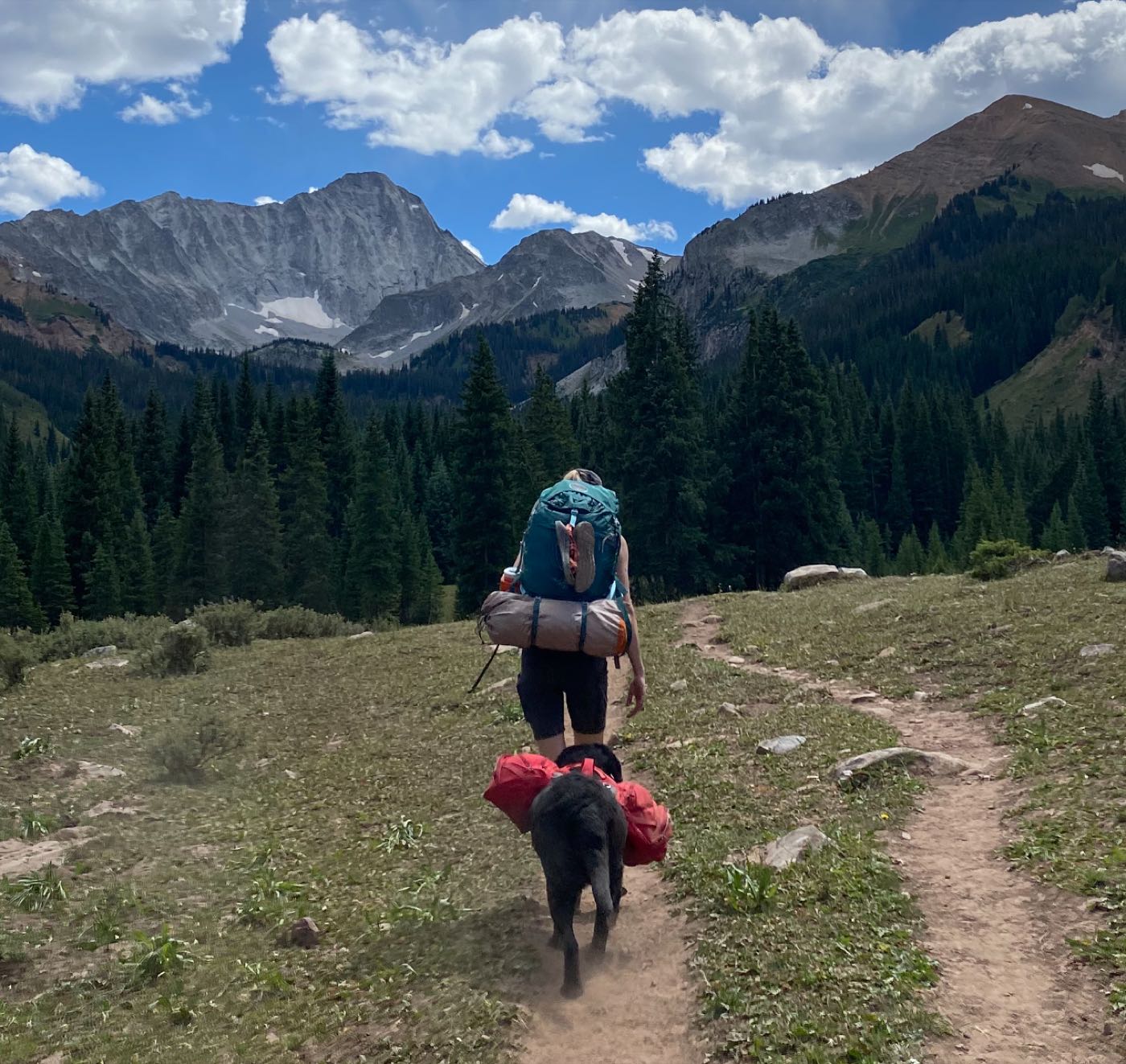 A hiker with a teal backpacking pack walks a mountain trail behind a black dog carrying its own loaded saddle bags, snow-capped peaks ahead.