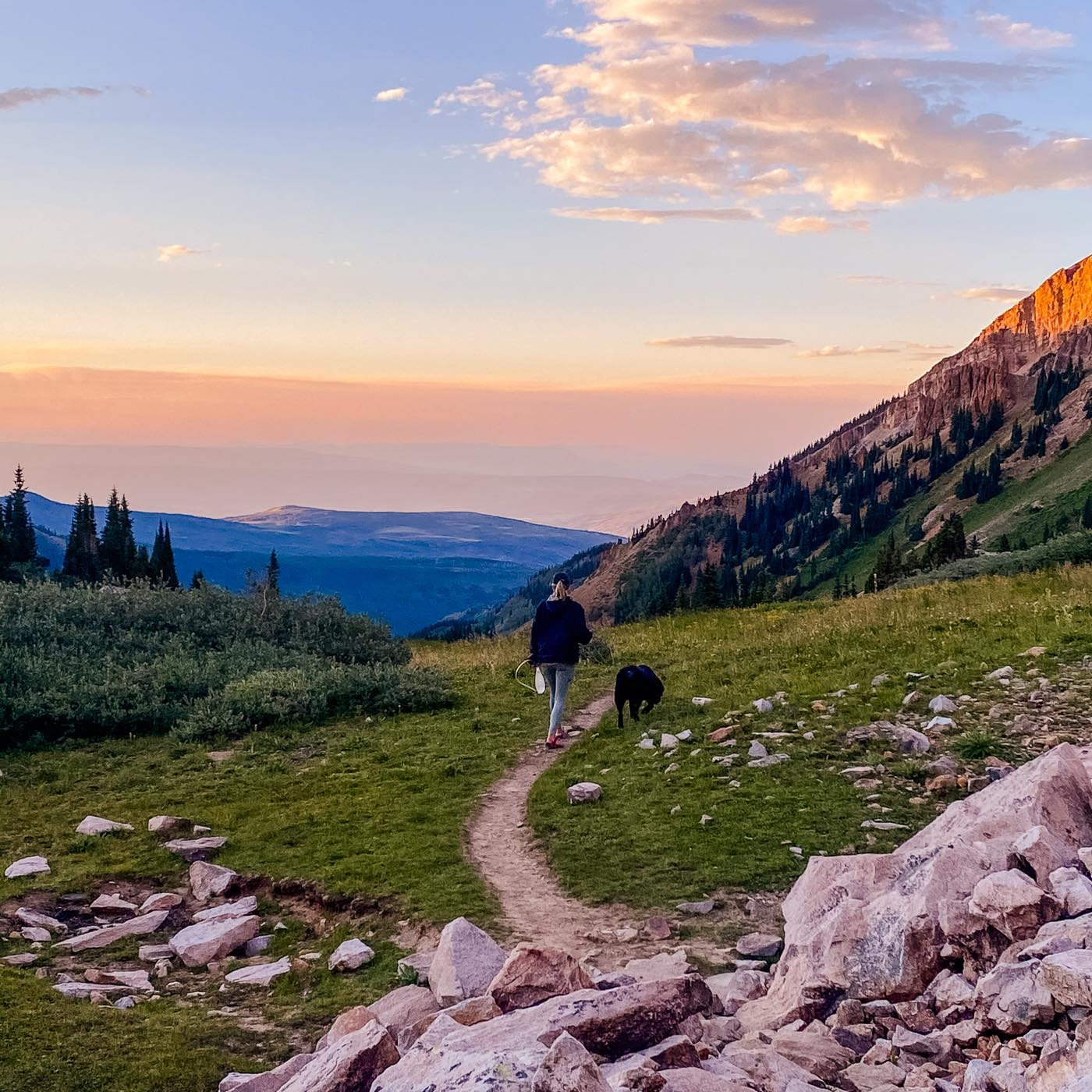A black dog wearing a small backpack looks toward the camera while hikers celebrate with peace signs behind it on a foggy trail.