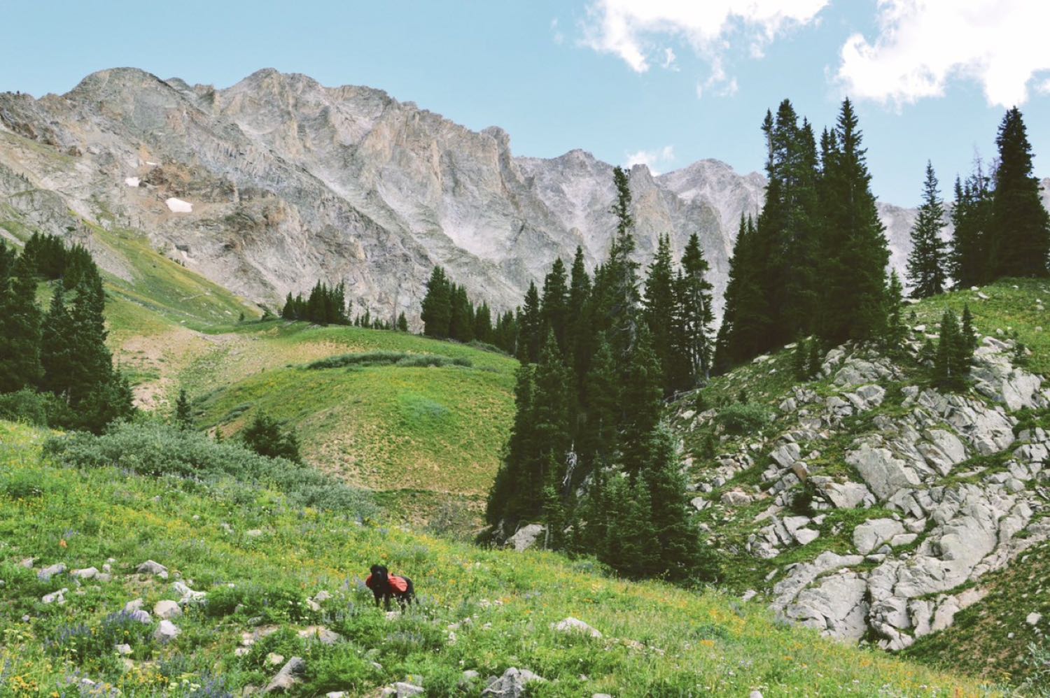 A hiker with a backpack walks a grassy ridge trail beside a black dog at sunset, mountains fading into the distance.