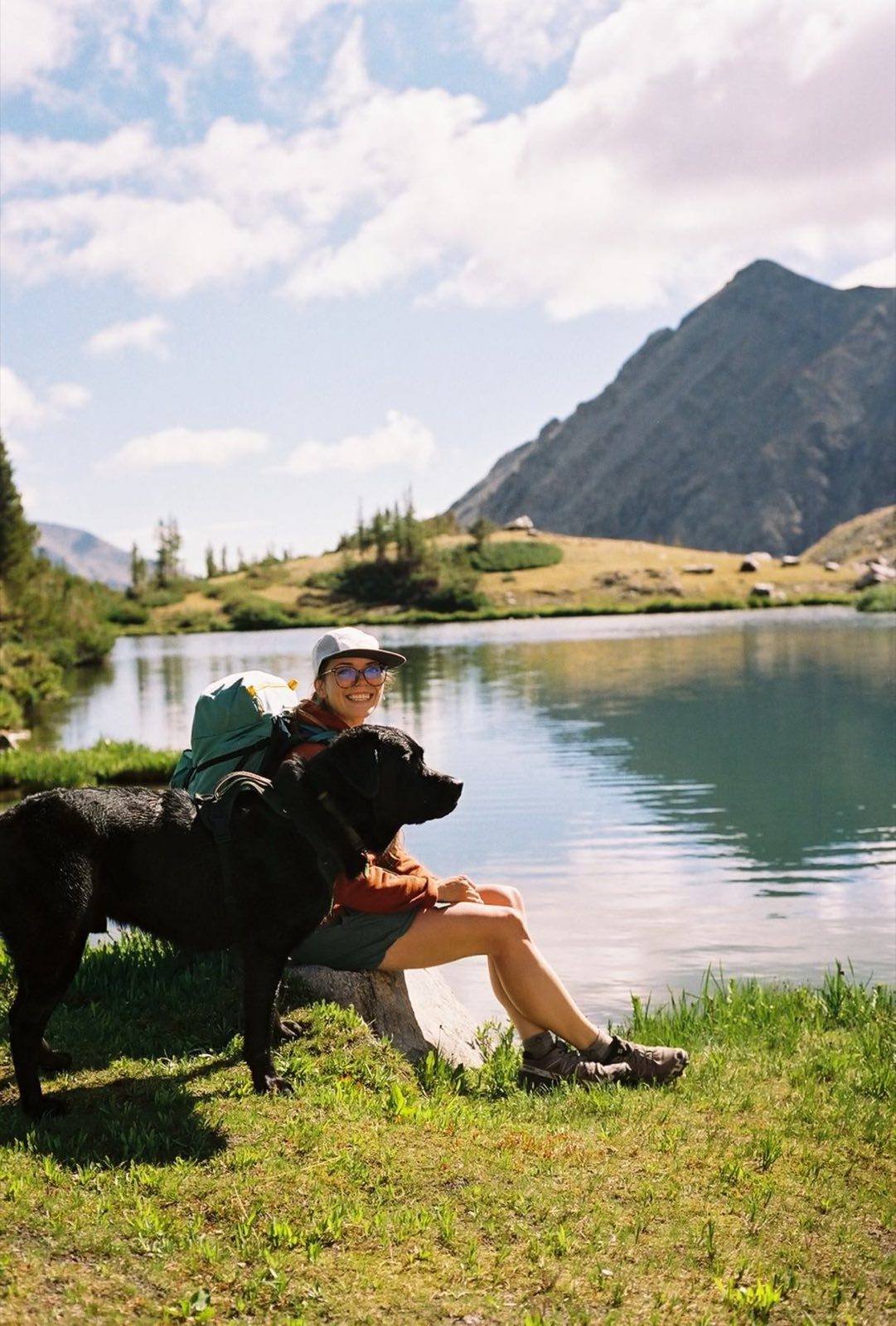 A dog in a red pack stands in a wildflower meadow below a rocky mountain ridge.