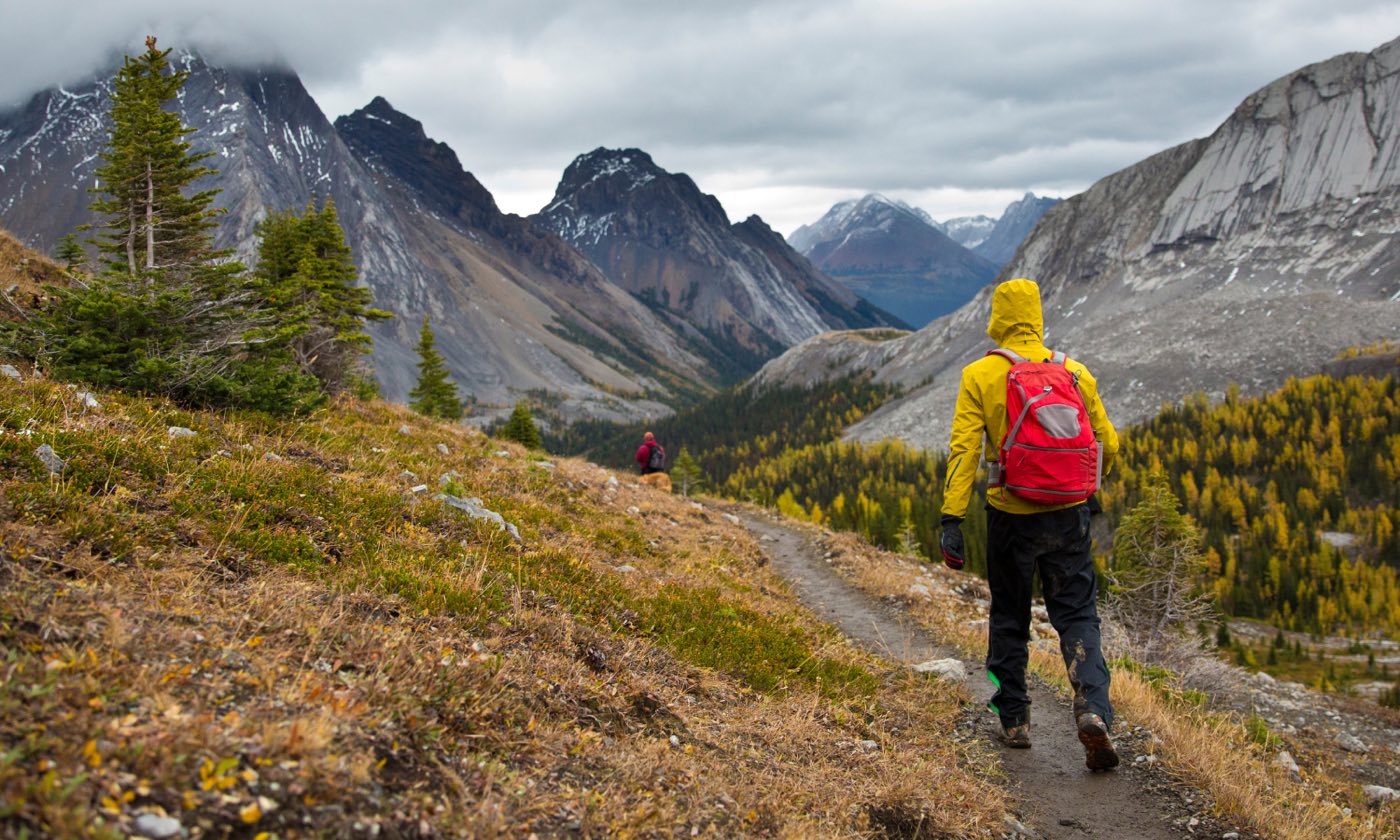 A hiker in a yellow rain jacket and red pack walks a misty alpine trail past golden larches, another hiker with a dog visible ahead on the trail.