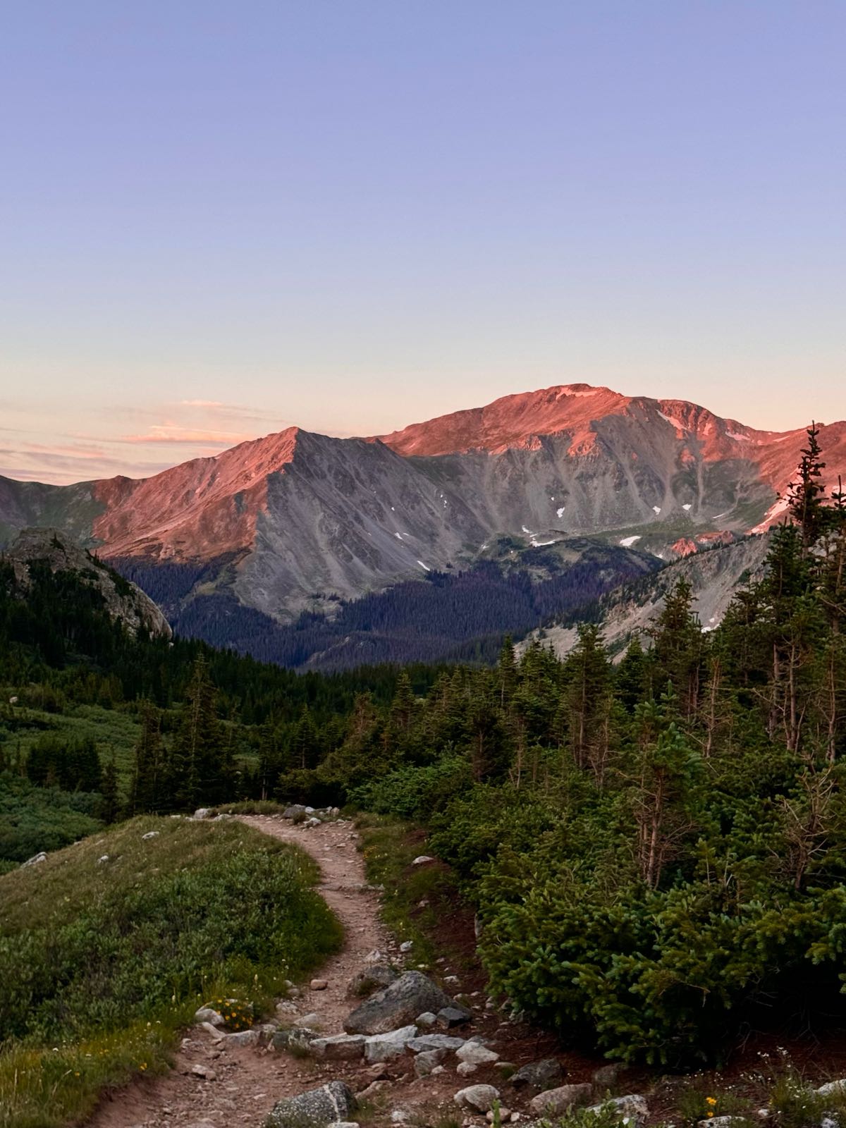 A dirt singletrack trail winds through wildflowers and pine trees toward mountain peaks glowing pink at alpenglow.
