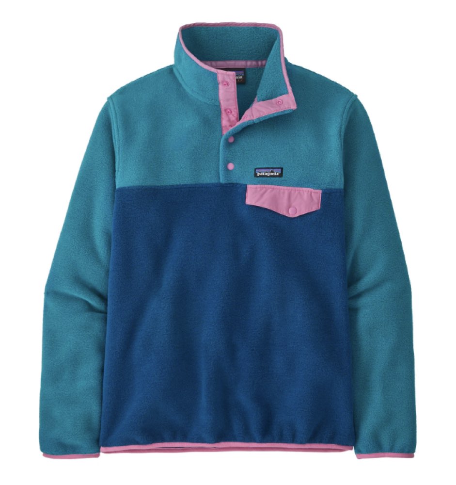 A Patagonia Synchilla fleece pullover.