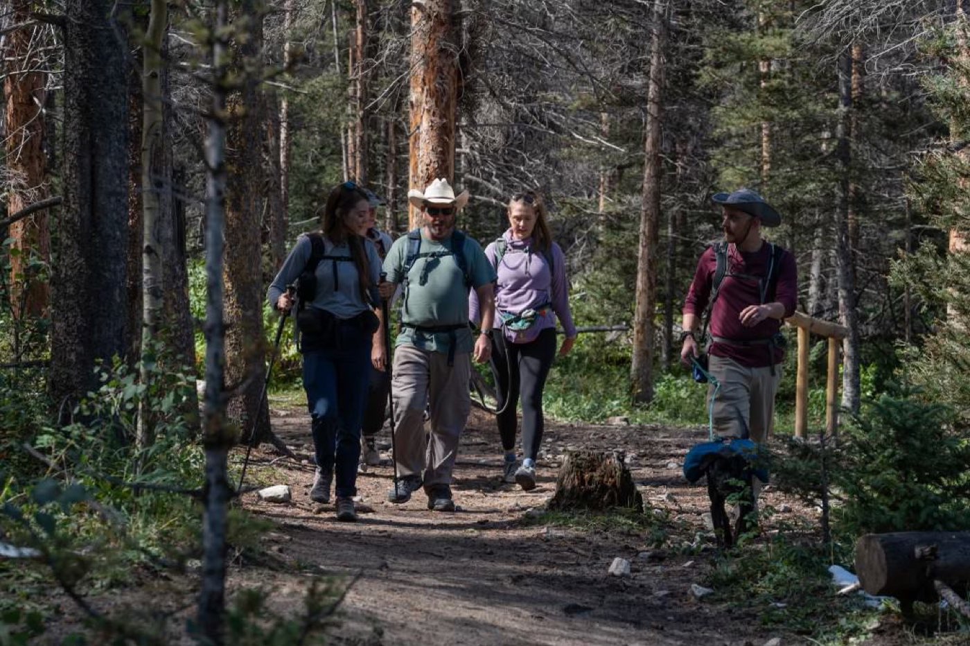 A group of hikers with a dog walking a forested trail.