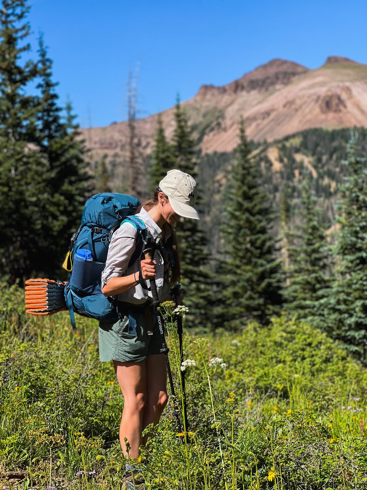 A backpacker pauses on a wildflower meadow trail with trekking poles in hand, a rocky peak rising behind her.