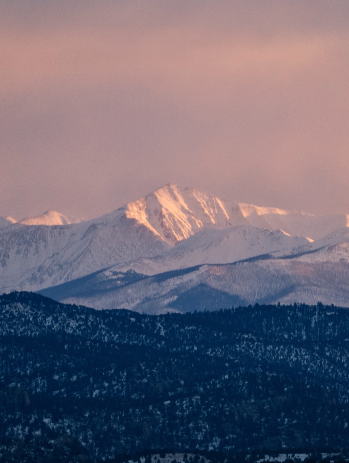 A snow-covered peak catches alpenglow above dark forested foothills at dusk.