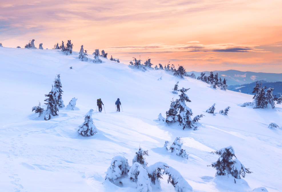 The Ultimate Guide to Planning and Preparing for a Winter Hike